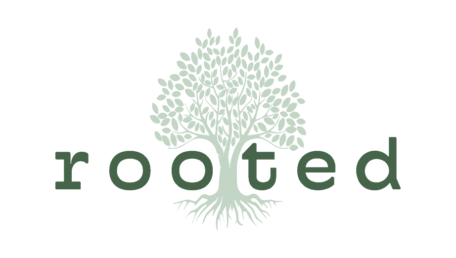 Rooted: A storytelling platform at the intersection of sustainable travel, environmental conservation, and community-based advocacy efforts