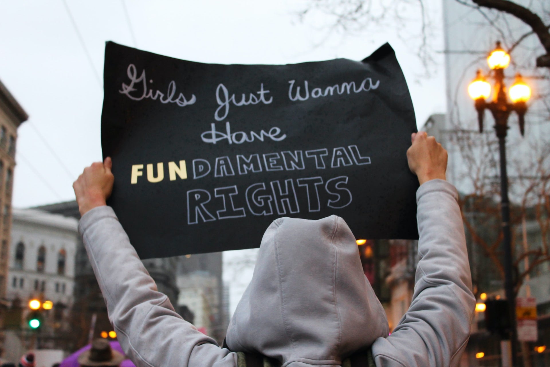 Sign that reads, ""Girls Just Wanna Have Fundamental Rights"