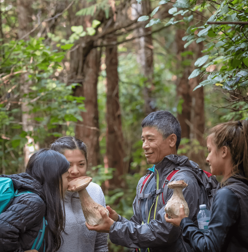 Man showing hikers large mushrooms in the woods